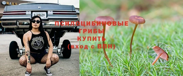 MESCALINE Вяземский